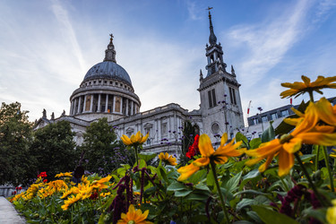 Similar image 22059577