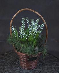 Similar image 22059582