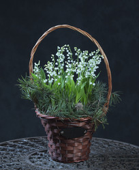 Similar image 22059584