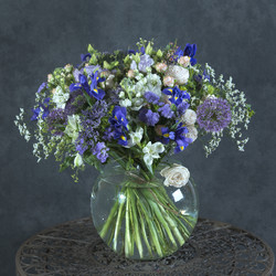 Similar image 22059585