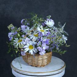 Similar image 22059587