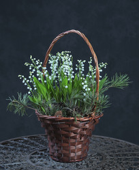 Similar image 22059588