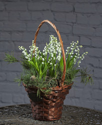 Similar image 22059590