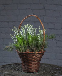 Similar image 22059592