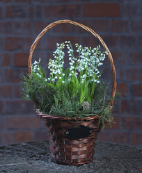 Similar image 22059714