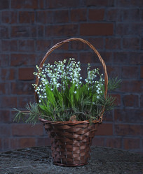 Similar image 22059716