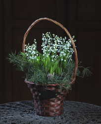 Similar image 22059718