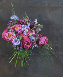 Similar image 22059737