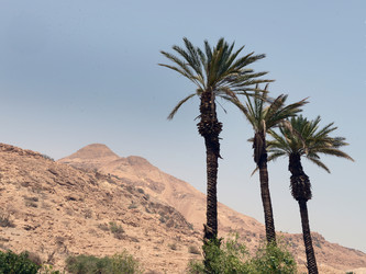 Similar image 22060106