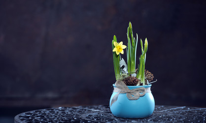 Similar image 22059862