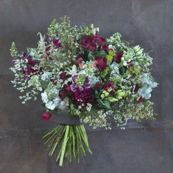 Similar image 22059870