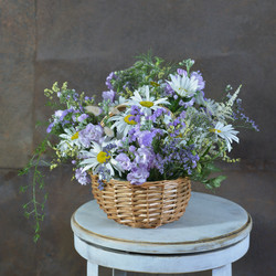 Similar image 22059877