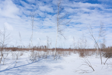 Similar image 22061177