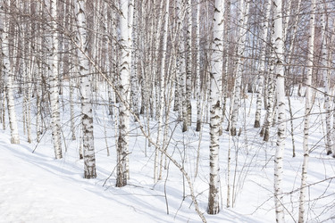 Similar image 22061185