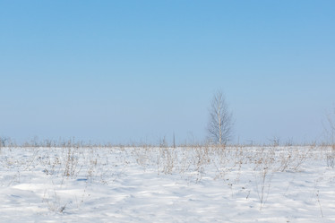 Similar image 22061187