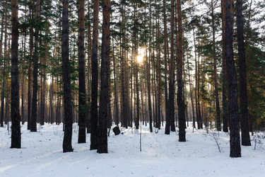 Similar image 22061596