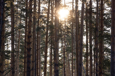 Similar image 22061598