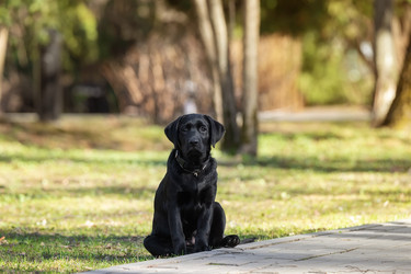 Similar image 22061599