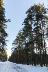 Similar image 22061600