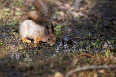 Similar image 22061609