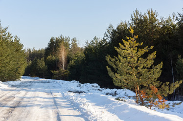 Similar image 22061614