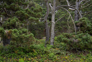 Similar image 22058939