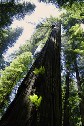 Similar image 22058940