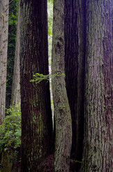 Similar image 22058941