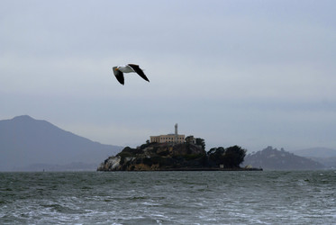 Similar image 22058951