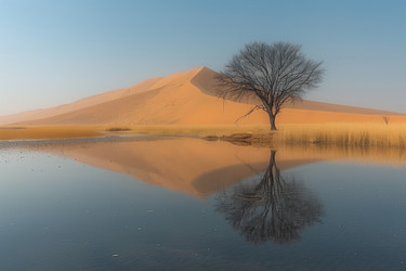 Similar image 22058964