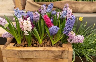 Similar image 22066378