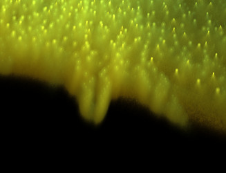 Similar image 22059015