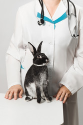 Similar image 22059018