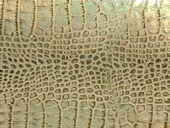 Similar image 22059031