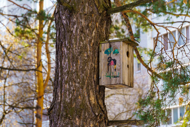 Similar image 22073387