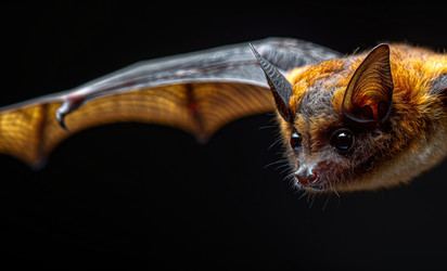 Similar image 22059047