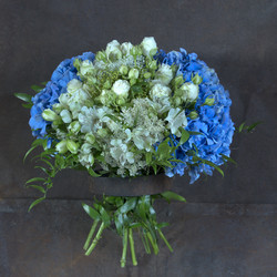 Similar image 22059602