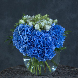 Similar image 22059606