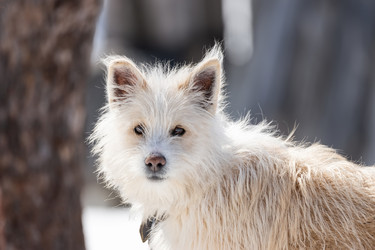 Similar image 22060784