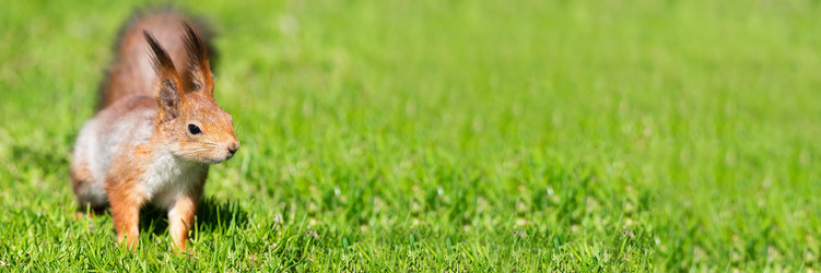 Similar image 22060788