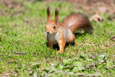 Similar image 22060790