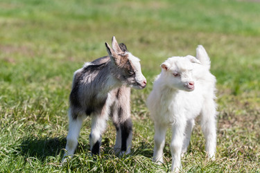 Similar image 22060792