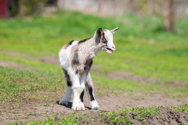 Similar image 22060967