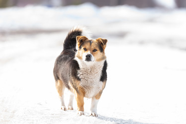 Similar image 22060975