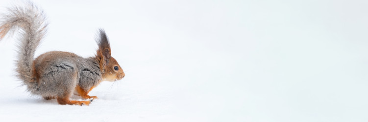 Similar image 22060978