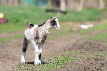 Similar image 22061192