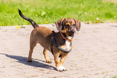 Similar image 22061194