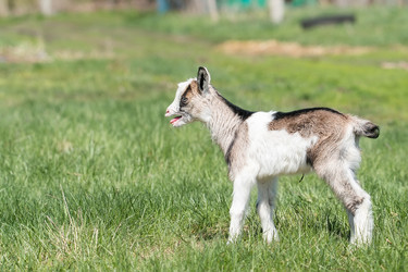 Similar image 22061197