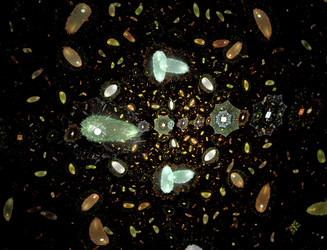 Similar image 22058668