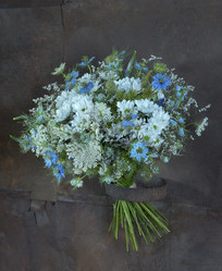 Similar image 22059900